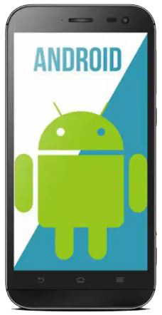 celular